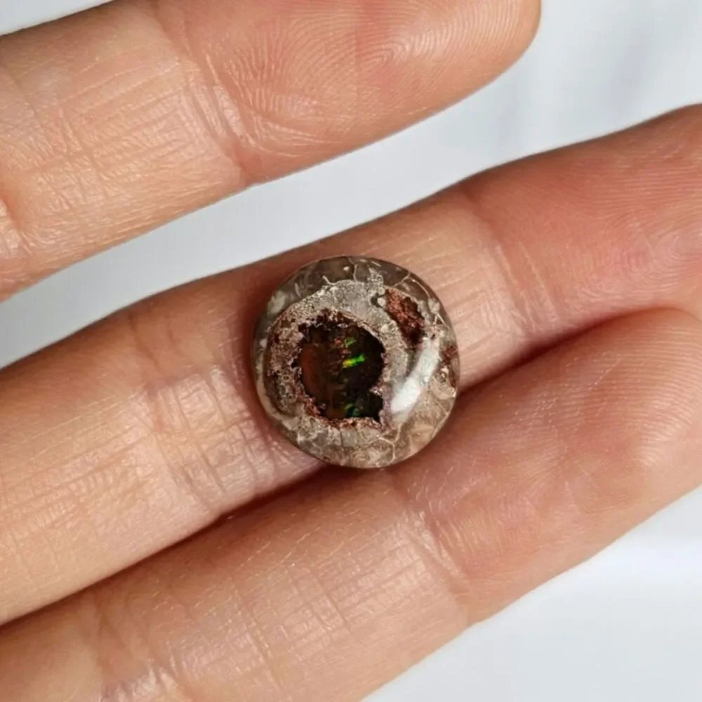 Natural Mexican Cantera Fire Opal in Rhyolite Matrix Cabochon 5 CT